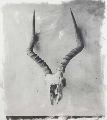 Lot 5 - Stephen Inggs (South Africa 1955-)