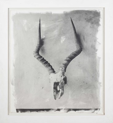 Lot 5 - Stephen Inggs (South Africa 1955-)