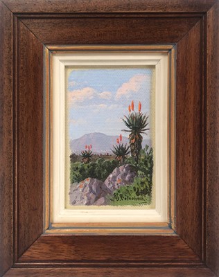 Lot 67 - Jan Ernst Abraham Volschenk (South Africa 1853-1936)