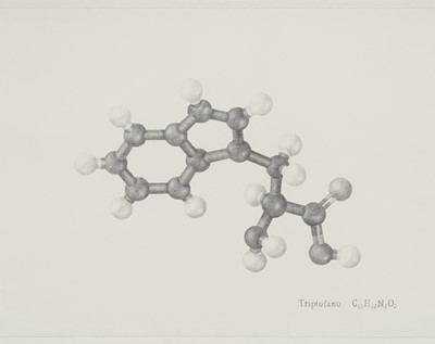 Lot 88 - Adriana Bustos (Argentina 1965-)