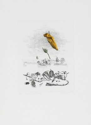 Lot 75 - Colin Richards (South Africa 1954-2012)