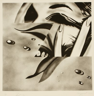 Lot 9 - James Rosenquist (America 1933-2017)