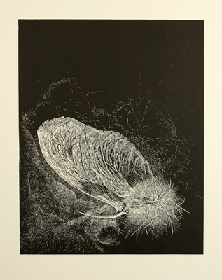Lot 83 - Rosemarie Marriott (South Africa)