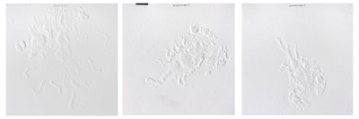 Lot 219 - Bronwyn Lace (South Africa 1980-)