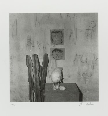 Lot 20 - Roger Ballen (United States 1950-)