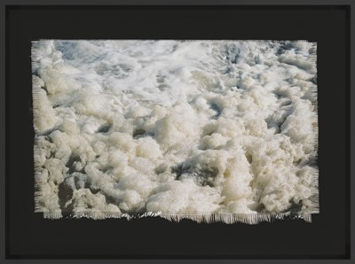 Lot 22 - Dan Halter (Zimbabwe 1977-)