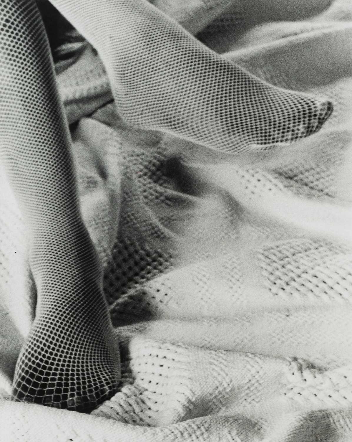 Lot 9 - Frances Goodman (South Africa 1975-)