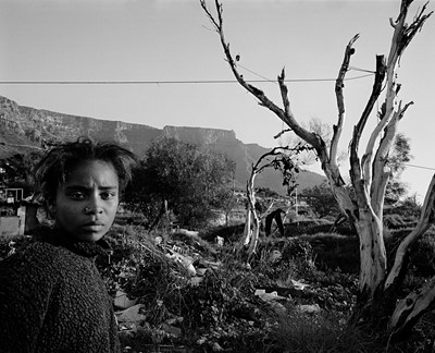 Lot 120 - David  Lurie (South Africa 1951-)