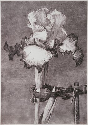 Lot 62 - William Kentridge (South Africa 1955-)