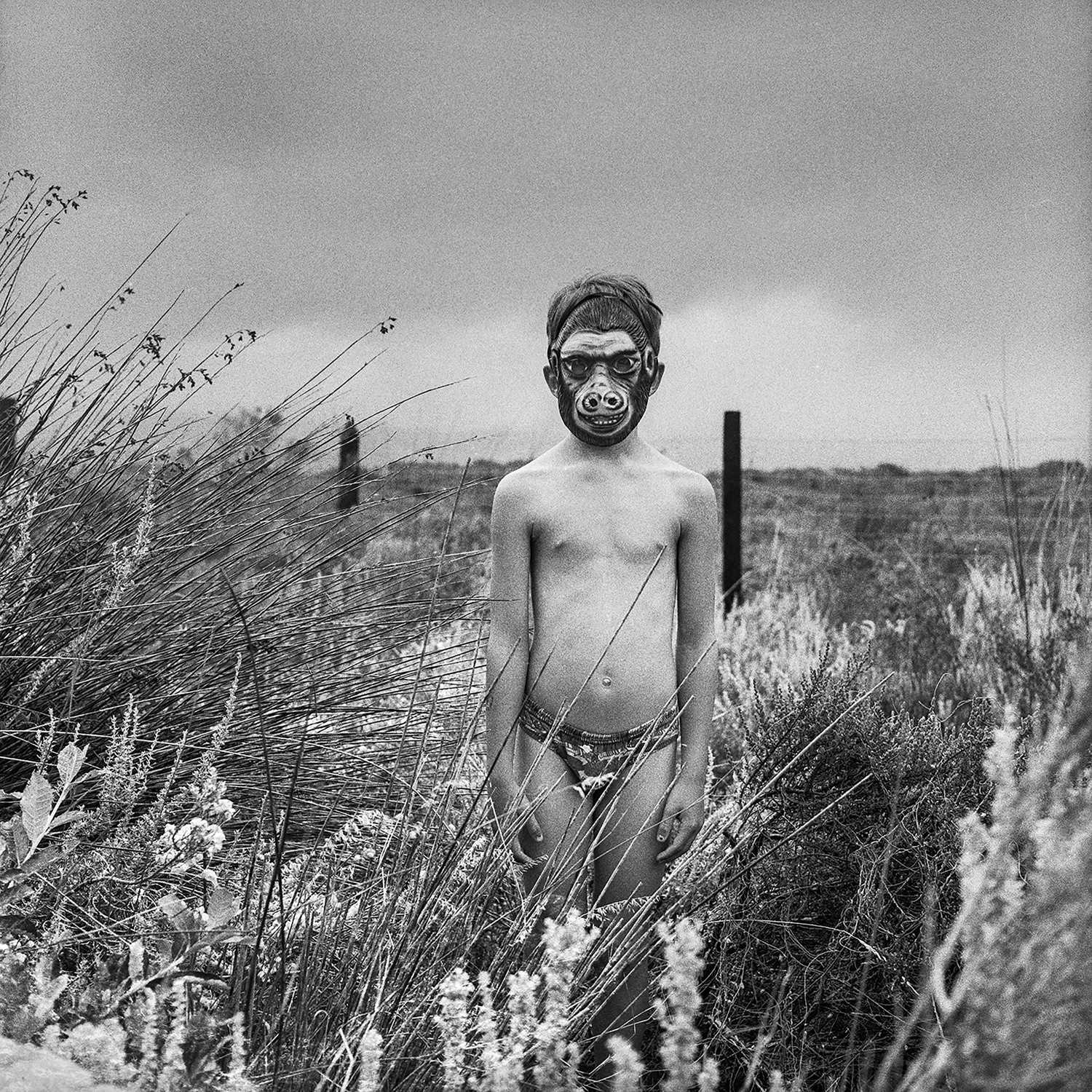Lot 26 - Michelle Loukidis (South Africa  1969-)