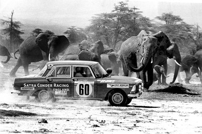 Lot 66 - Mohamed  Amin (Kenyan  1943-1996)