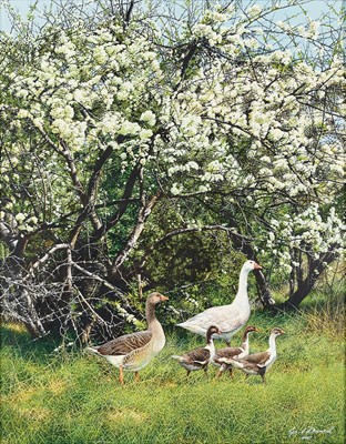 Lot 111 - Gail Darroll (South Africa 1952-)