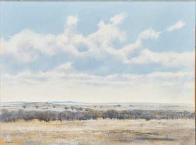Lot 135 - Kim Donaldson (Zimbabwe 1952-)