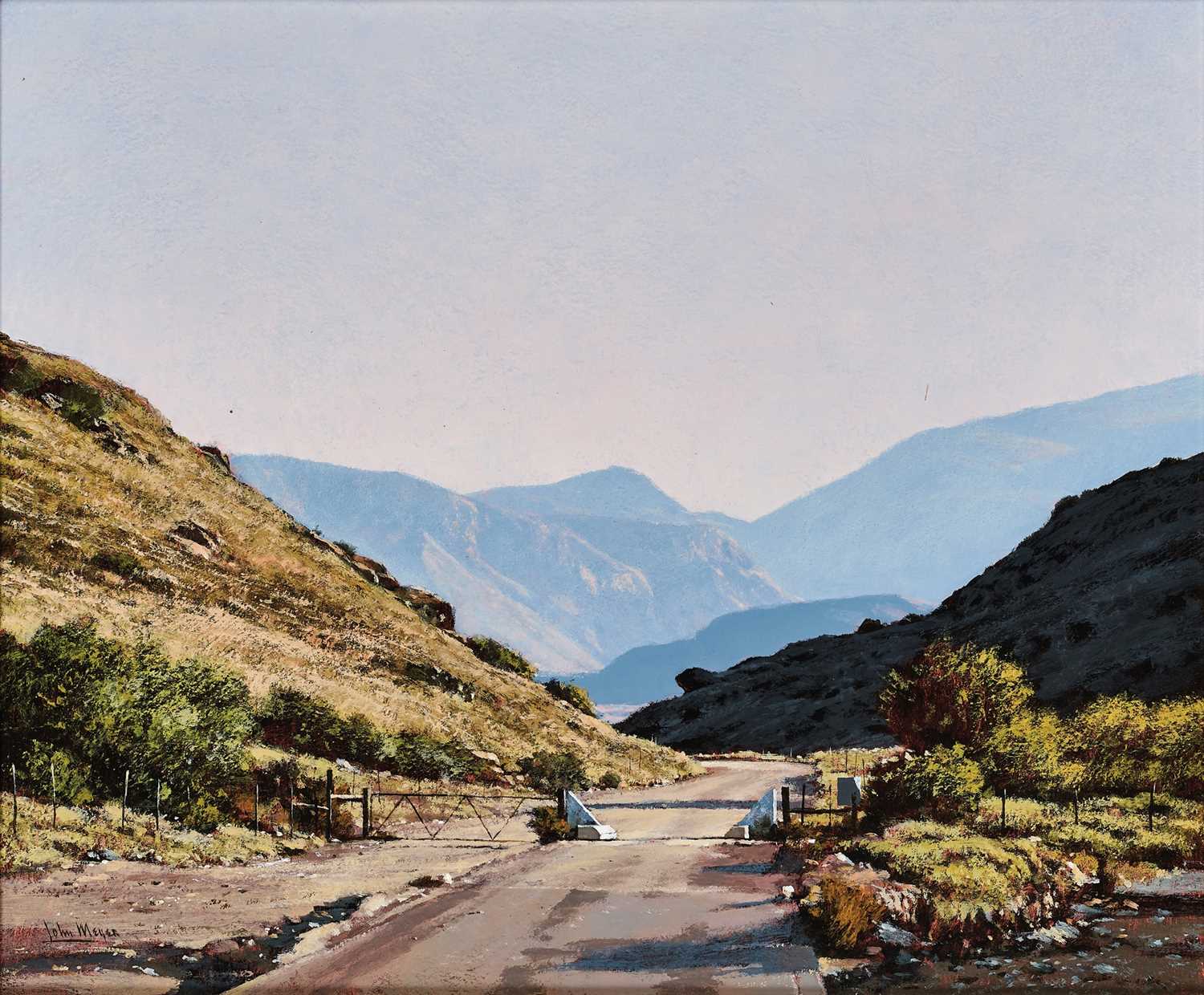 Lot 88 - John Meyer (South Africa 1942-)