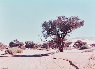 Lot 143 - Dmitry Nikashin (South Africa 1968-)
