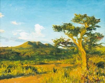 Lot 65 - Walter Meyer (South Africa 1965-2017)