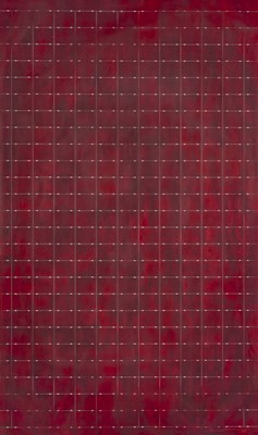 Lot 24 - Kim Lieberman (South Africa 1969-)